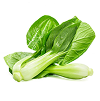 Green Capsicum